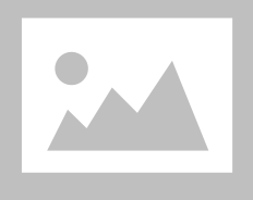 Brush Cutter Blade Red